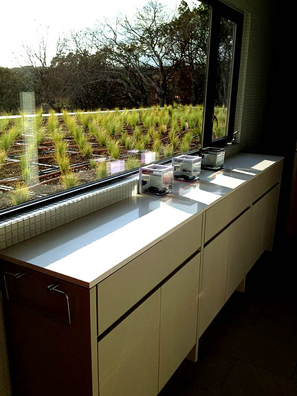 This second-story bathroom looks out over the first floor's living roof.