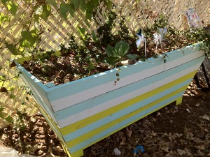 Jennifer-Balkan-backyard-3 Jennifer Balkan