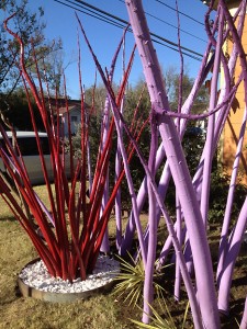 Fisterra-Studio-front-yard-Austin Fisterra Studio