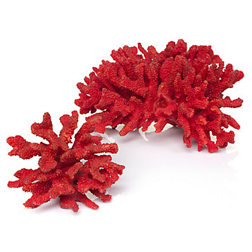 Red faux coral, from ZGallerie.