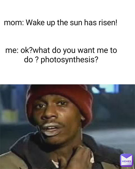 Dave Chapelle meme about getting up with the sun
